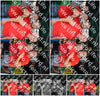 Evenement foto: 1198