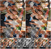 Evenement foto: 1197