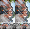 Evenement foto: 1197