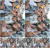 Evenement foto: 1195