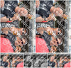 Evenement foto: 1195