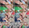 Evenement foto: 1195