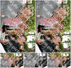 Evenement foto: Dorpsfeest Santpoort-Noort 2026 2743