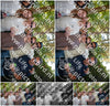 Evenement foto: 2796