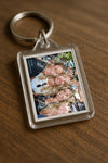 Evenement foto: 2795