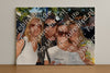 Evenement foto: 2795