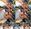 Evenement foto: 2795