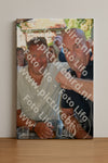 Evenement foto: 2795