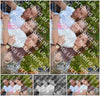 Evenement foto: 2794