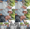 Evenement foto: 2793
