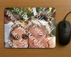 Evenement foto: 2792