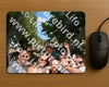 Evenement foto: 2792