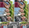 Evenement foto: 2790