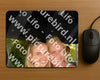 Evenement foto: 2790