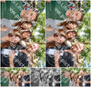 Evenement foto: 2787