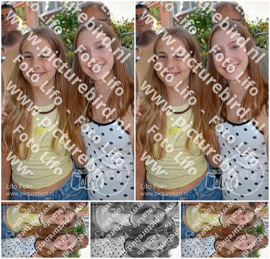 Evenement foto: 2787