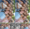 Evenement foto: 2787