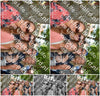 Evenement foto: 2787