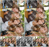 Evenement foto: 2787