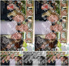 Evenement foto: 2787