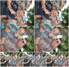 Evenement foto: 2787