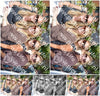 Evenement foto: 2786