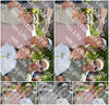 Evenement foto: 2786