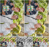 Evenement foto: 2785
