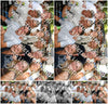 Evenement foto: 2747