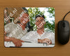 Evenement foto: 2747