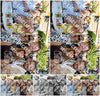 Evenement foto: 2747