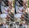 Evenement foto: 2747