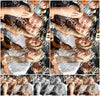 Evenement foto: 2746