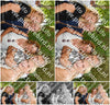 Evenement foto: 2745