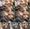 Evenement foto: 2745