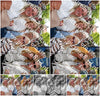 Evenement foto: 2745