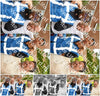 Evenement foto: 2745