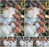 Evenement foto: 2745