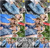Evenement foto: 2744