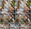 Evenement foto: 2744