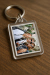Evenement foto: 2744
