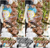 Evenement foto: 2743