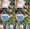 Evenement foto: 2743