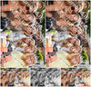 Evenement foto: 2742