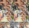 Evenement foto: 2742