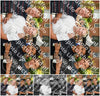 Evenement foto: 2742