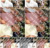 Evenement foto: 2742