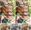 Evenement foto: 2742
