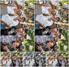 Evenement foto: 2742