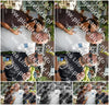 Evenement foto: 2741